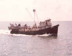 surprise.jpg (10036 bytes)